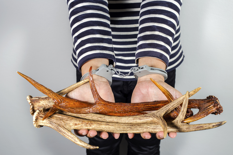 Safe Steps for PPE Waste Management at Home